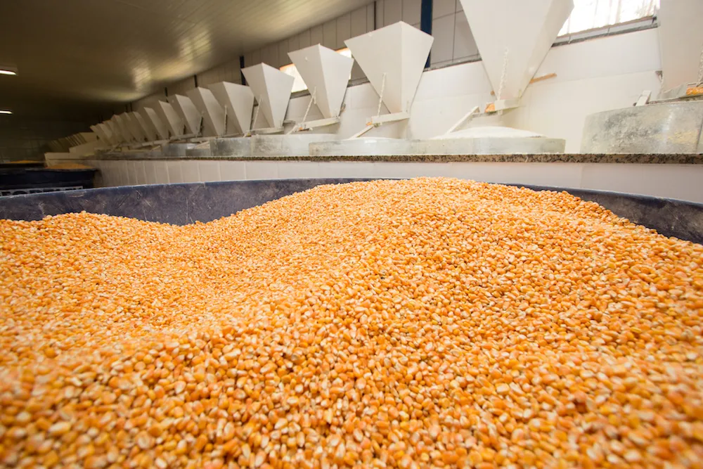 Alimentação do moinho